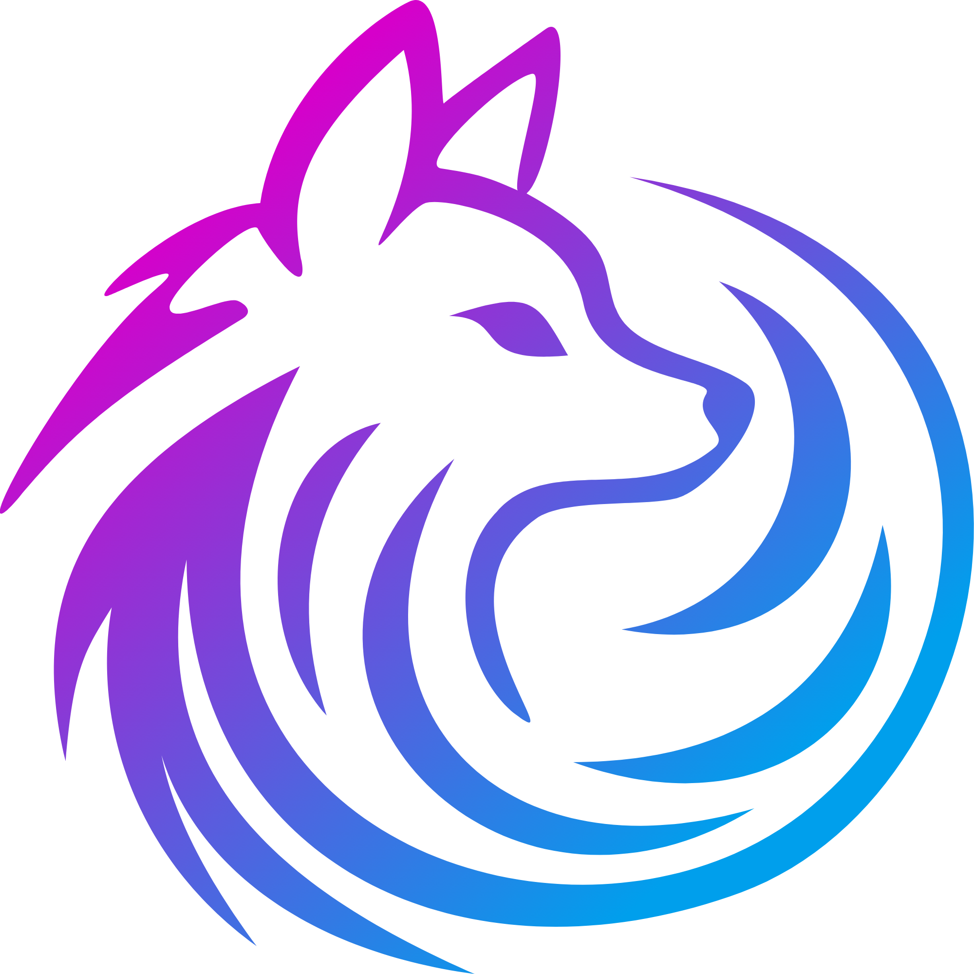 Aurora Noctis Logo
